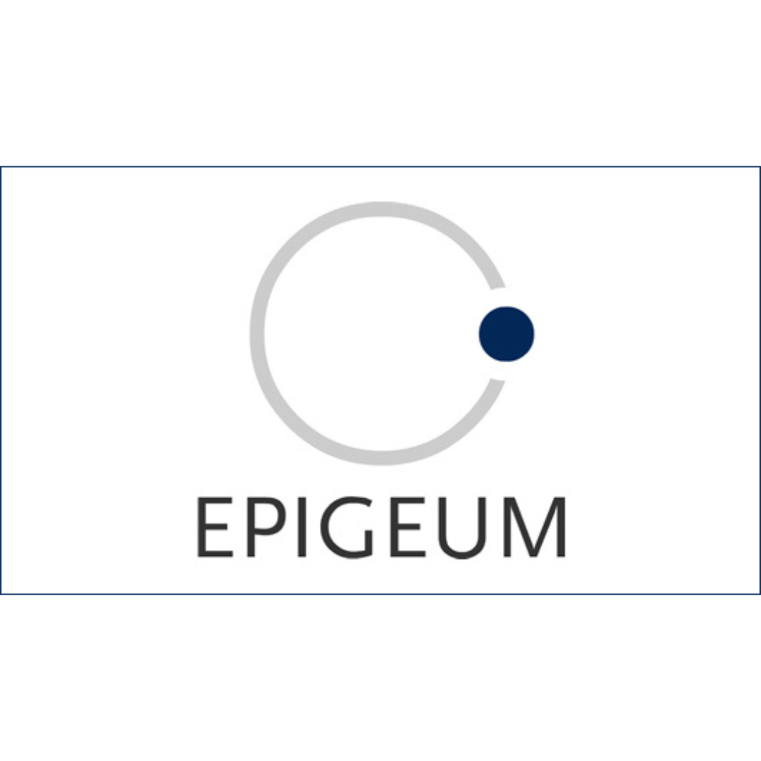 epigeum